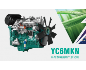 Газовая генераторная установка YC180N