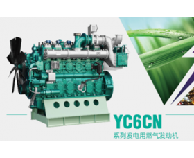 Газовая генераторная установка YC500N